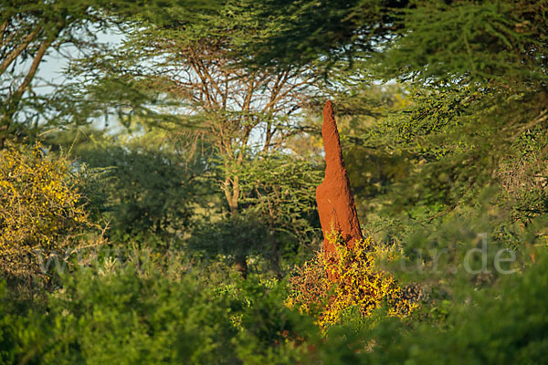 Aethiopien (Ethiopia)