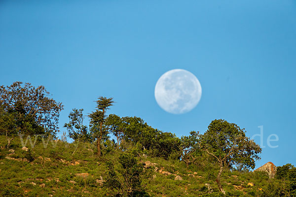 Aethiopien (Ethiopia)