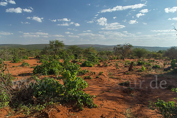 Aethiopien (Ethiopia)