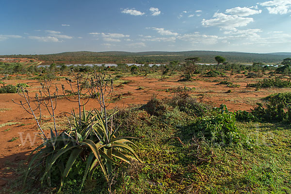 Aethiopien (Ethiopia)