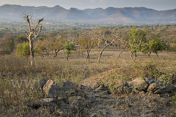 Aethiopien (Ethiopia)