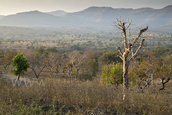 Aethiopien (Ethiopia)