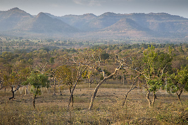 Aethiopien (Ethiopia)