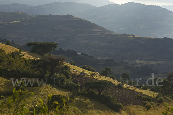 Aethiopien (Ethiopia)