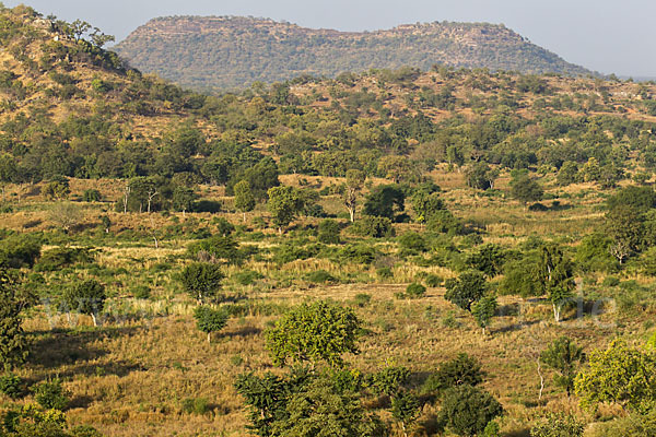 Aethiopien (Ethiopia)