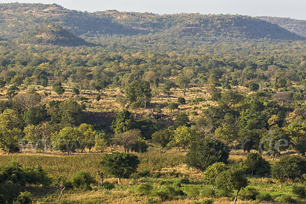 Aethiopien (Ethiopia)