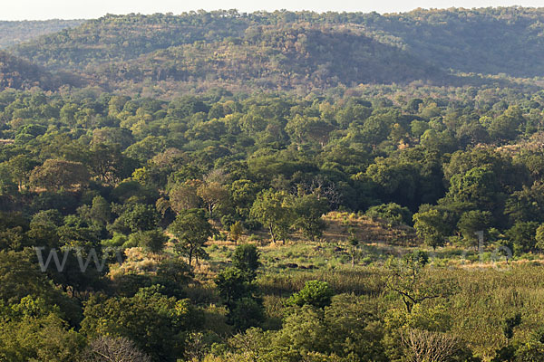 Aethiopien (Ethiopia)