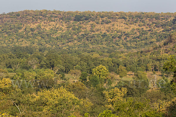 Aethiopien (Ethiopia)