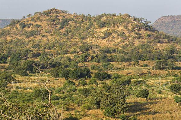 Aethiopien (Ethiopia)