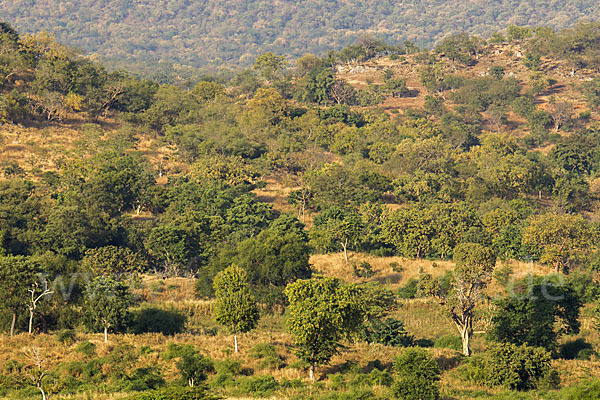 Aethiopien (Ethiopia)