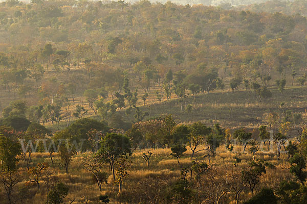 Aethiopien (Ethiopia)