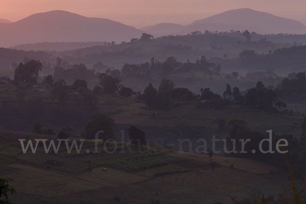 Aethiopien (Ethiopia)