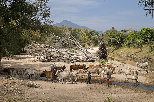 Aethiopien (Ethiopia)