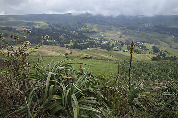 Aethiopien (Ethiopia)