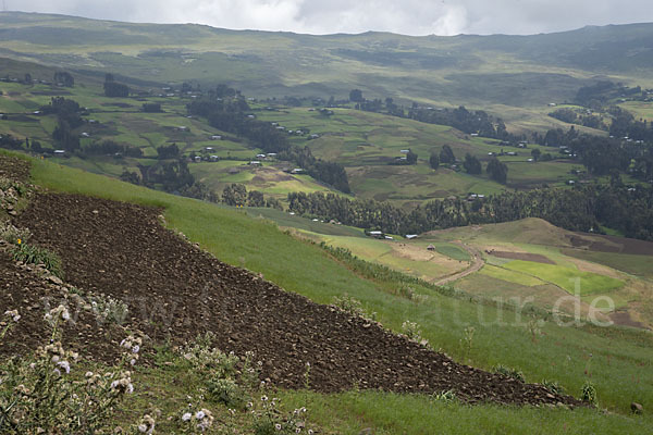 Aethiopien (Ethiopia)