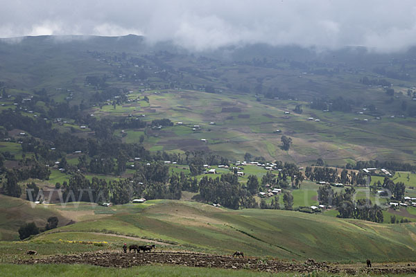 Aethiopien (Ethiopia)