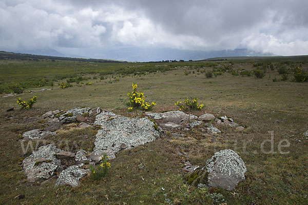 Aethiopien (Ethiopia)