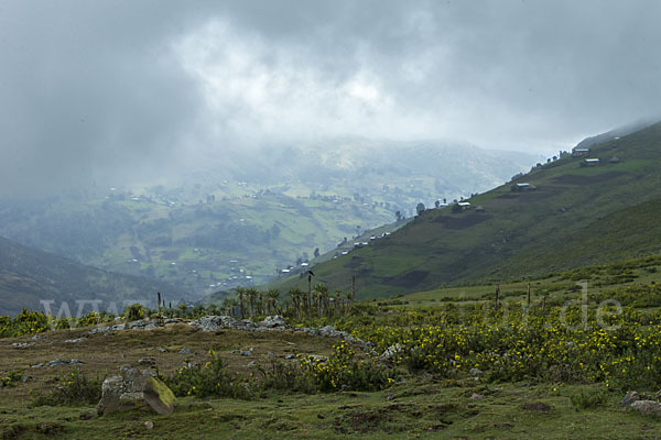 Aethiopien (Ethiopia)