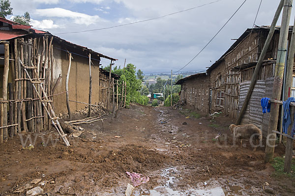 Aethiopien (Ethiopia)