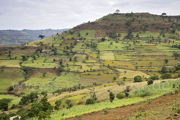 Aethiopien (Ethiopia)