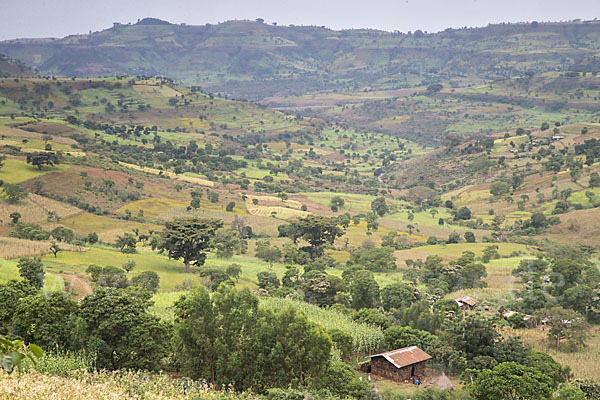 Aethiopien (Ethiopia)