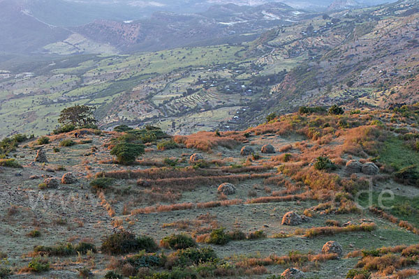 Aethiopien (Ethiopia)