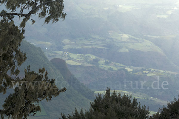 Aethiopien (Ethiopia)