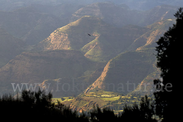 Aethiopien (Ethiopia)