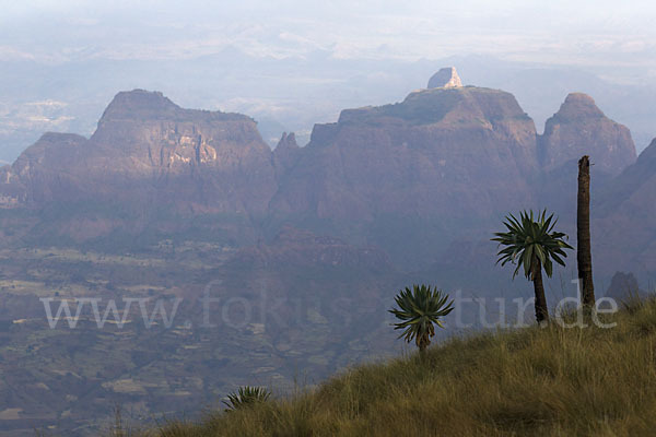 Aethiopien (Ethiopia)