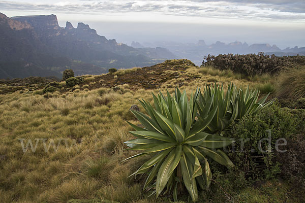 Aethiopien (Ethiopia)