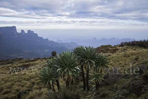 Aethiopien (Ethiopia)