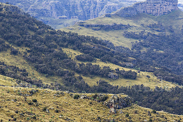 Aethiopien (Ethiopia)