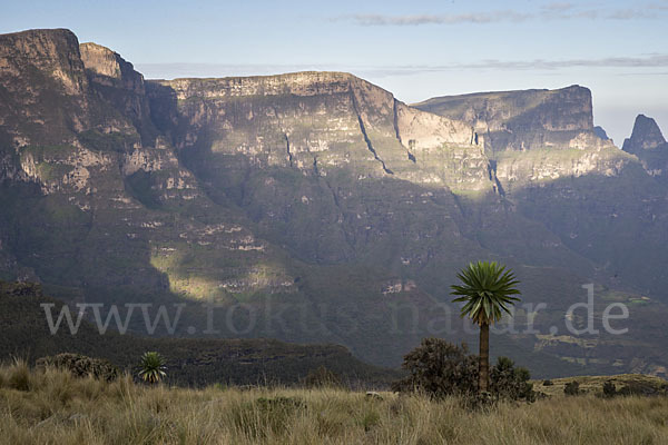 Aethiopien (Ethiopia)