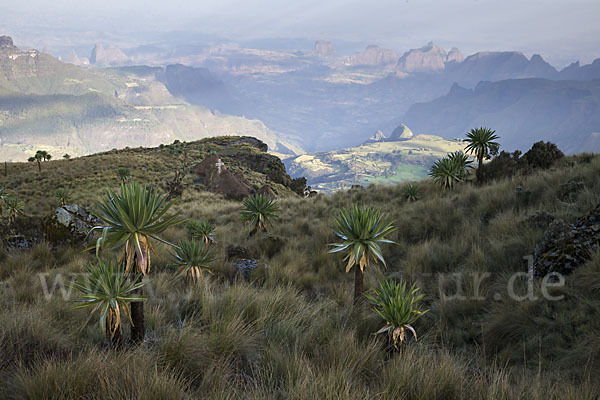 Aethiopien (Ethiopia)