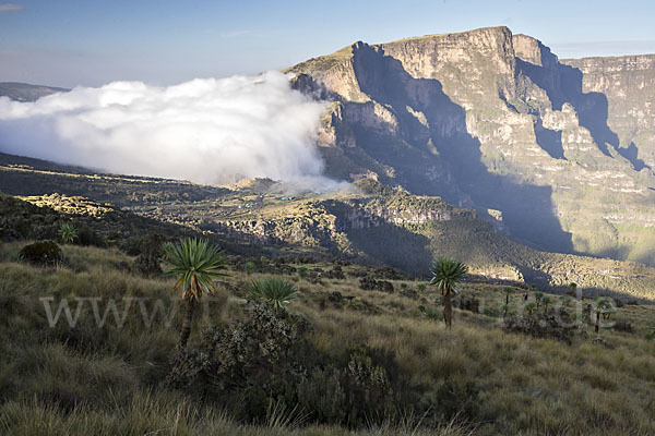 Aethiopien (Ethiopia)