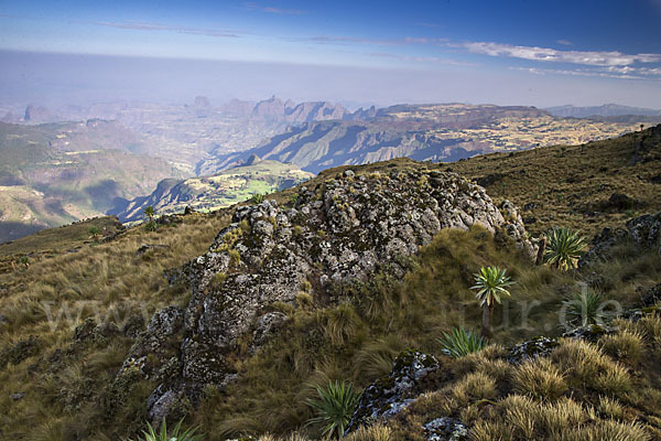 Aethiopien (Ethiopia)