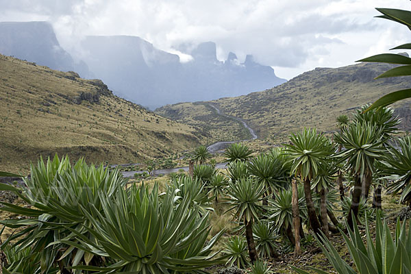 Aethiopien (Ethiopia)