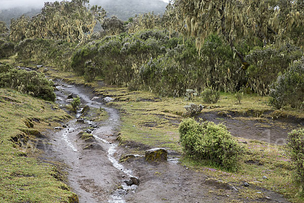 Aethiopien (Ethiopia)