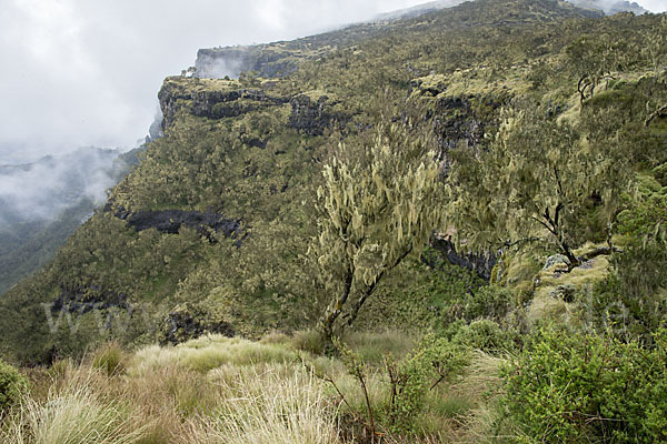 Aethiopien (Ethiopia)