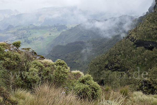 Aethiopien (Ethiopia)