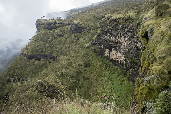 Aethiopien (Ethiopia)