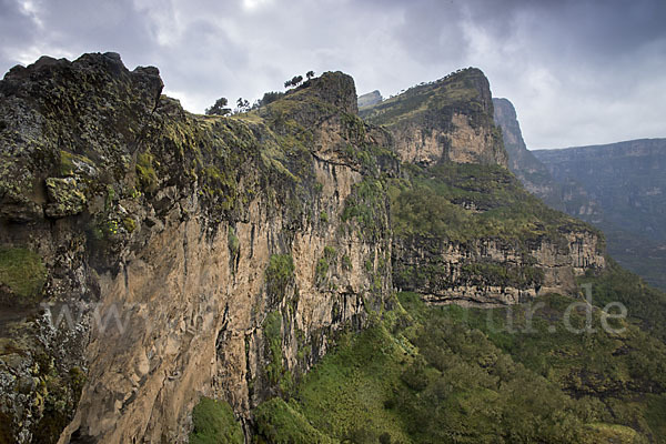 Aethiopien (Ethiopia)