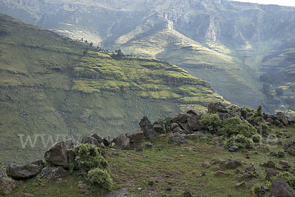 Aethiopien (Ethiopia)