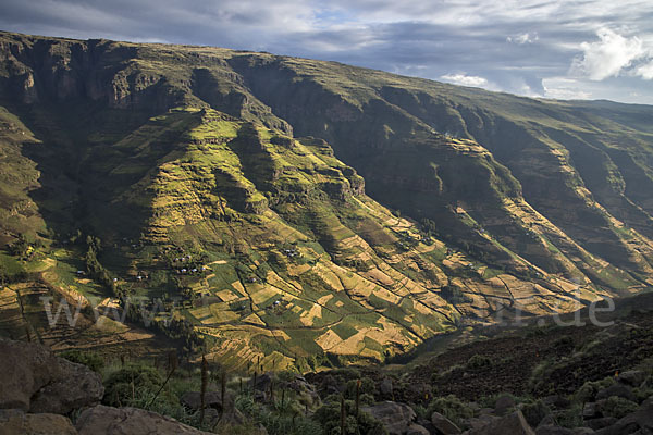 Aethiopien (Ethiopia)