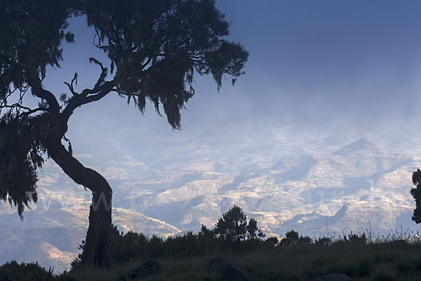 Aethiopien (Ethiopia)