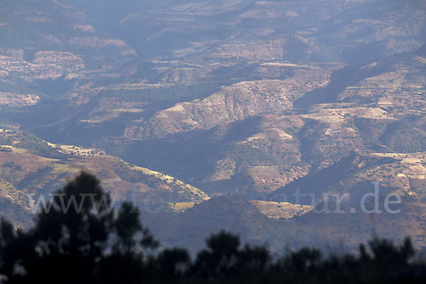 Aethiopien (Ethiopia)