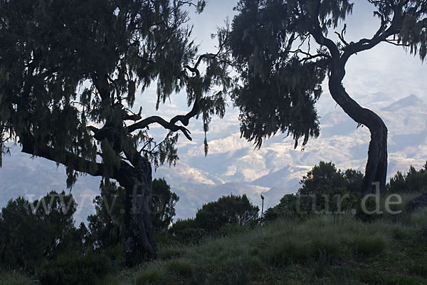 Aethiopien (Ethiopia)