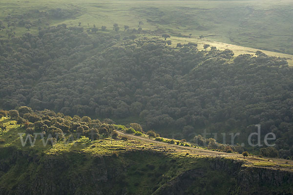 Aethiopien (Ethiopia)