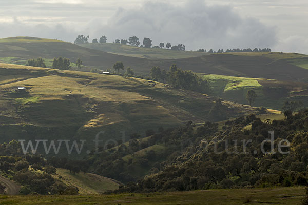 Aethiopien (Ethiopia)