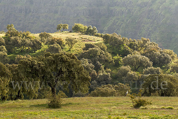 Aethiopien (Ethiopia)